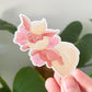 Flareon Waterproof Die Cut Sticker - 2.8 in Pokemon Sticker Sarah May Arts